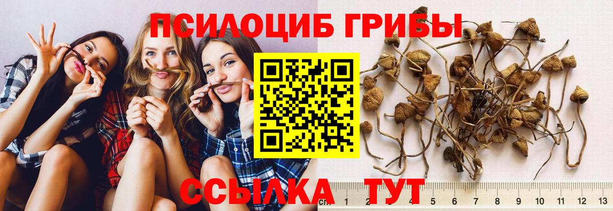 Галлюциногенные грибы GOLDEN TEACHER Зима