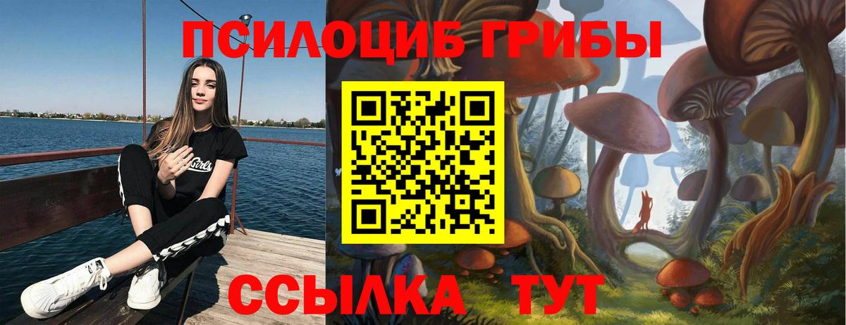 Псилоцибиновые грибы мицелий  Вход с VPN  Галлюциногенные грибы ЛСД  Зима 
