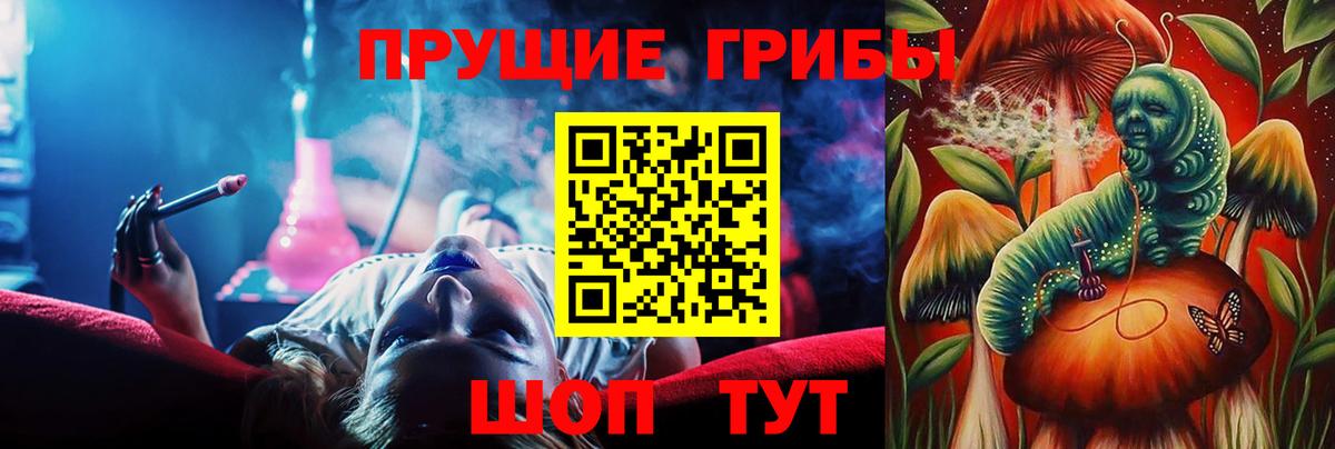 Псилоцибиновые грибы мицелий Зима