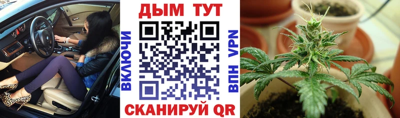 купить наркотик  Зима  мориарти клад  Конопля ГИДРОПОН 