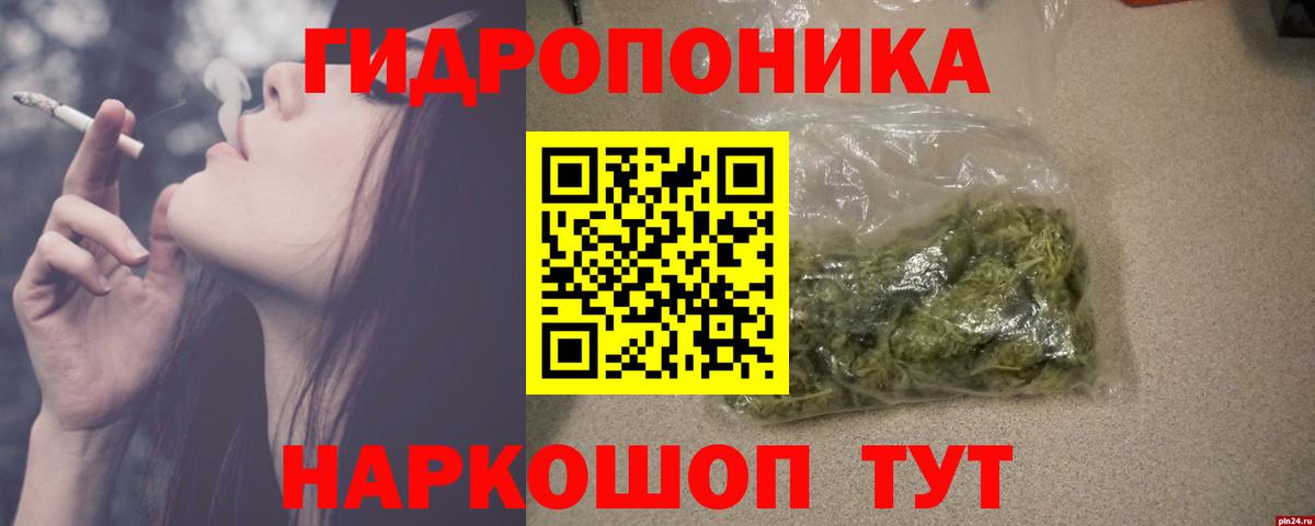 Конопля индика Зима